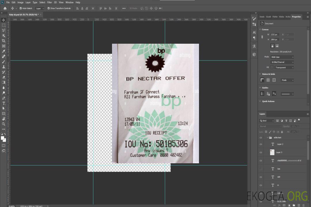 BP Nectar récompense le reçu de paiement template BP Nectar récompense le reçu de paiement template